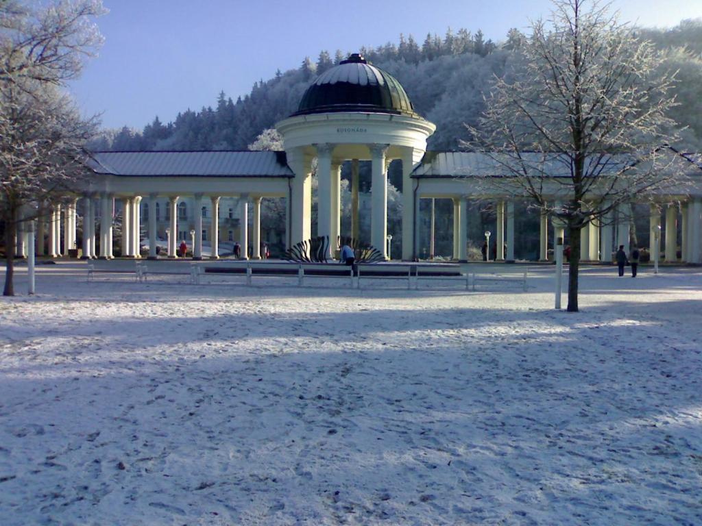 Topapartmany Lesni Marianske Lazne Luaran gambar